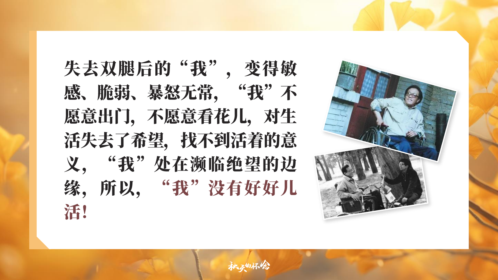 预览图 11