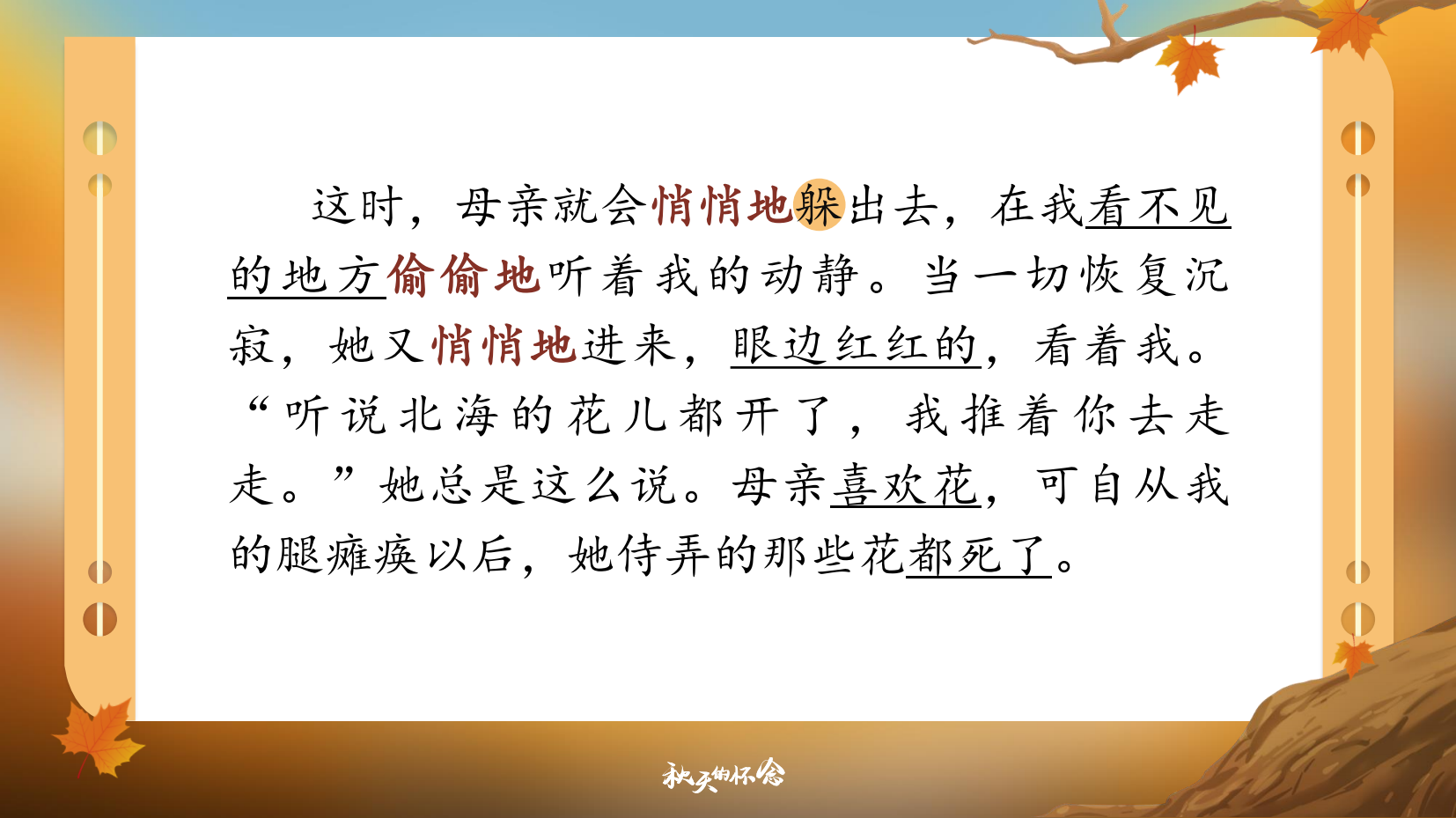 预览图 15