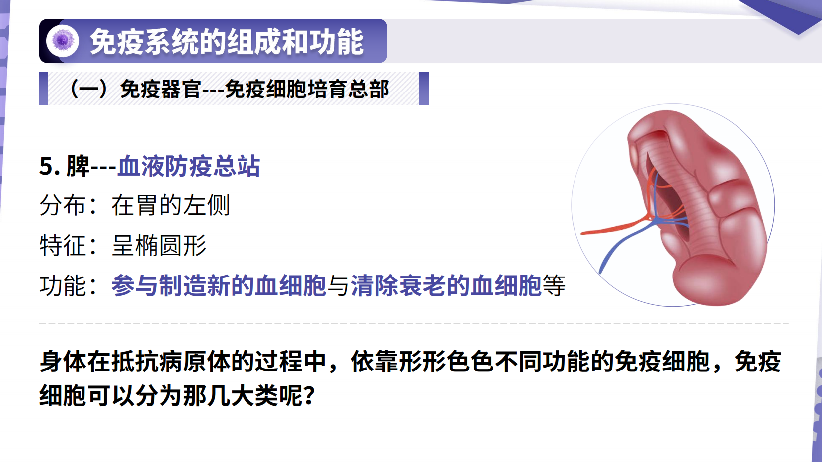预览图 10