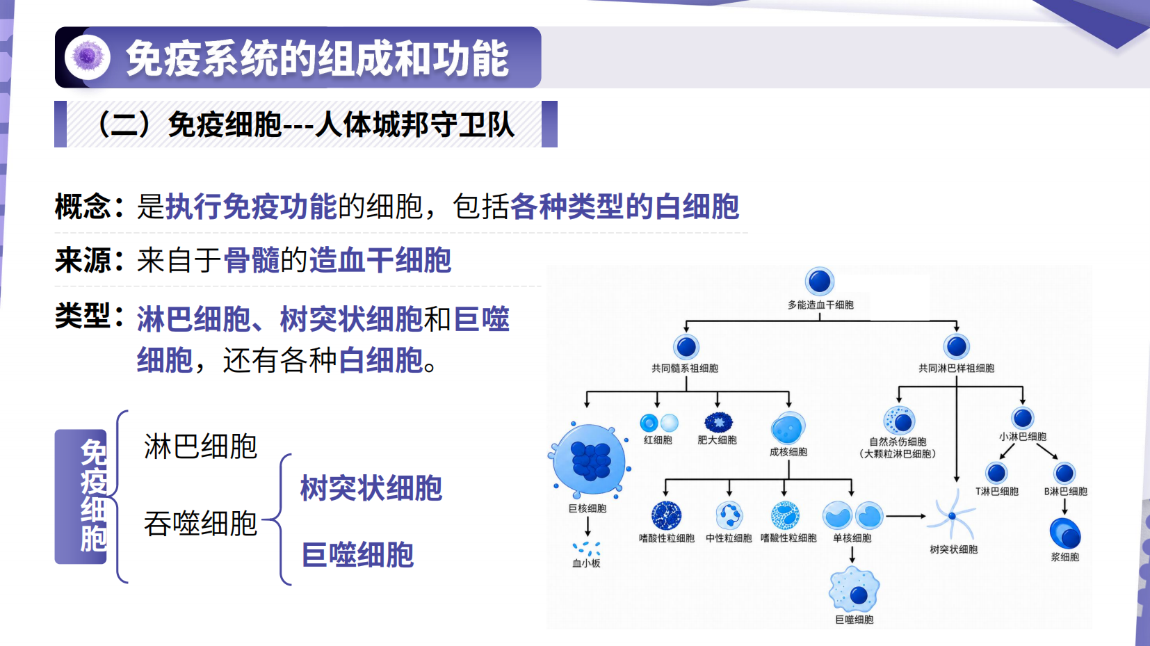 预览图 11