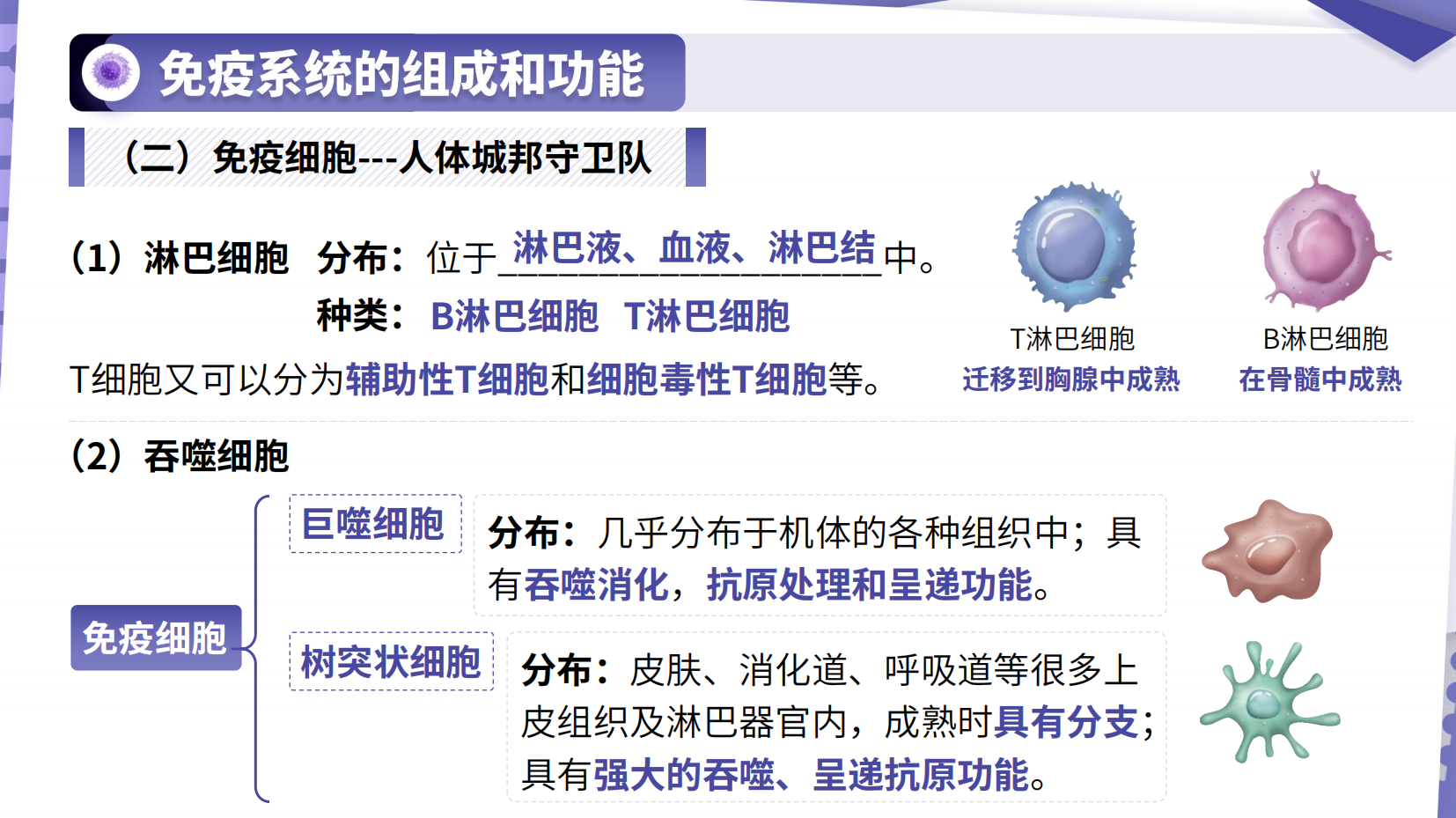 预览图 12