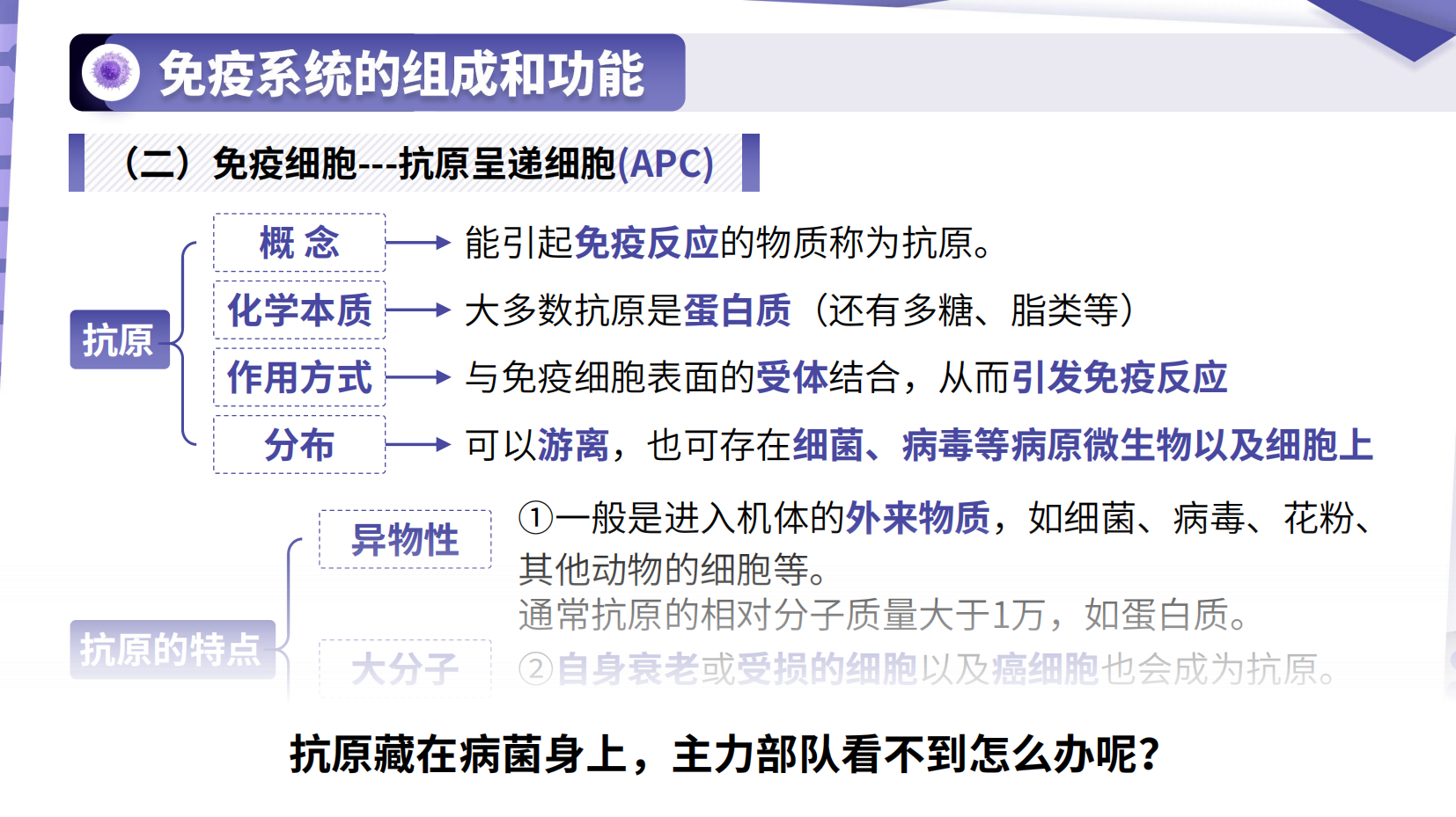 预览图 13