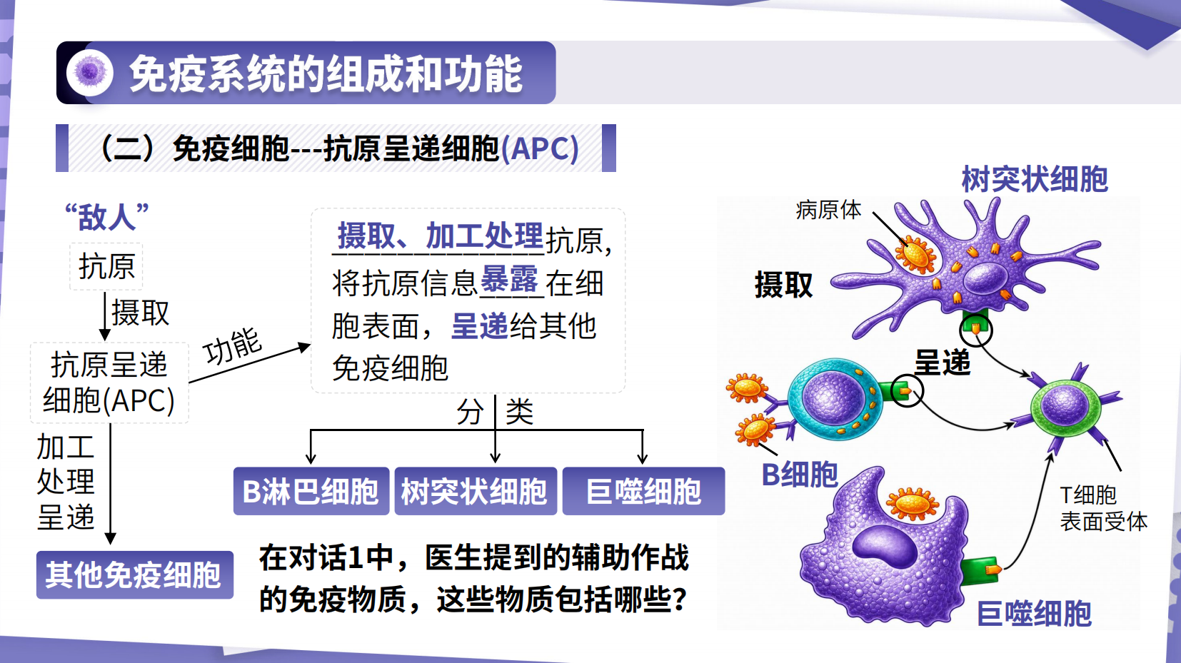 预览图 14