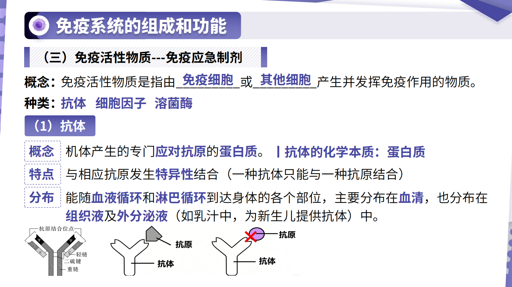 预览图 15
