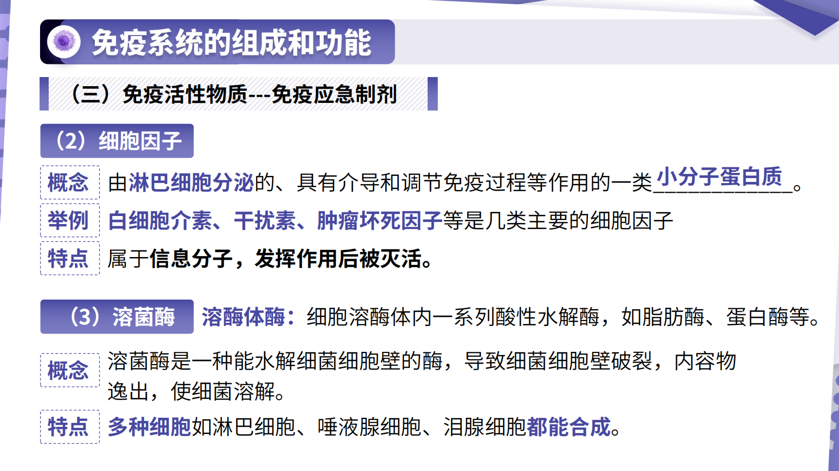 预览图 16