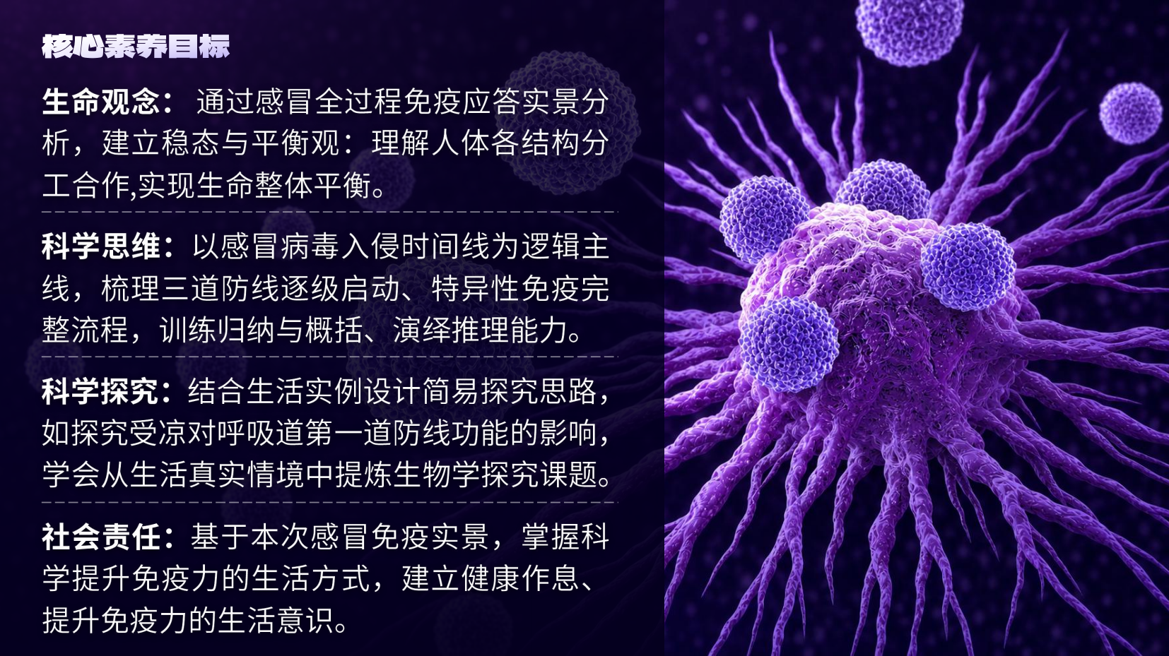 预览图 2