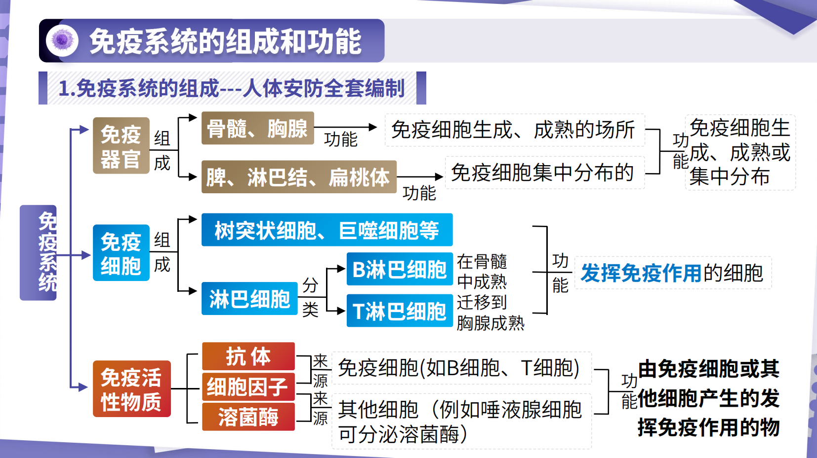 预览图 6