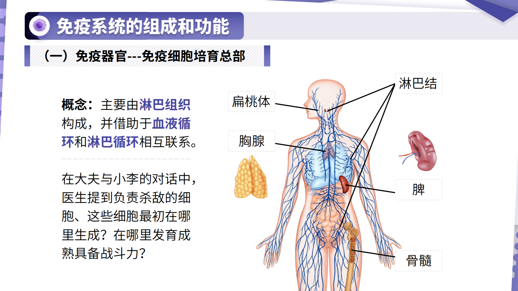 预览图 7