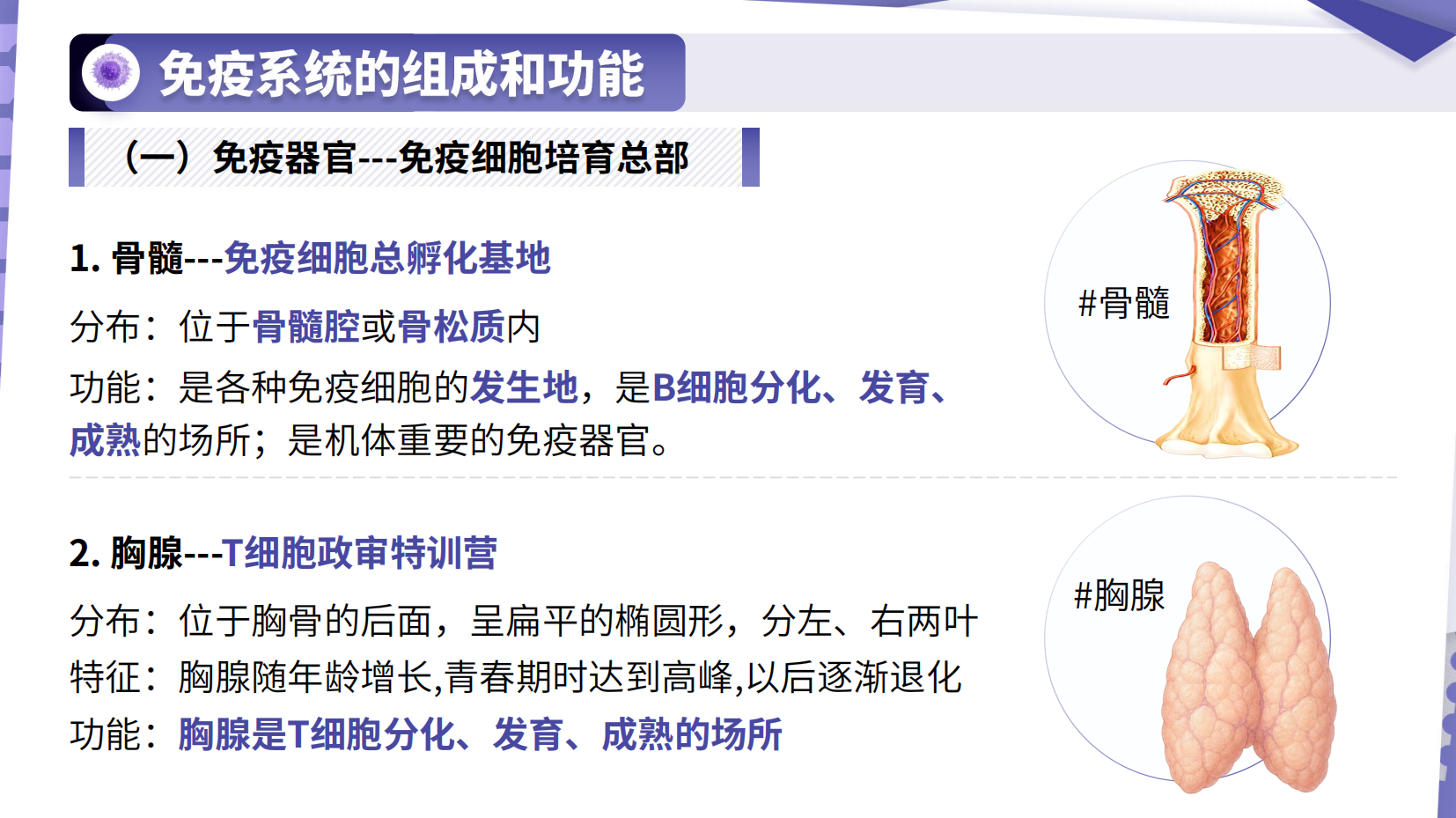 预览图 8