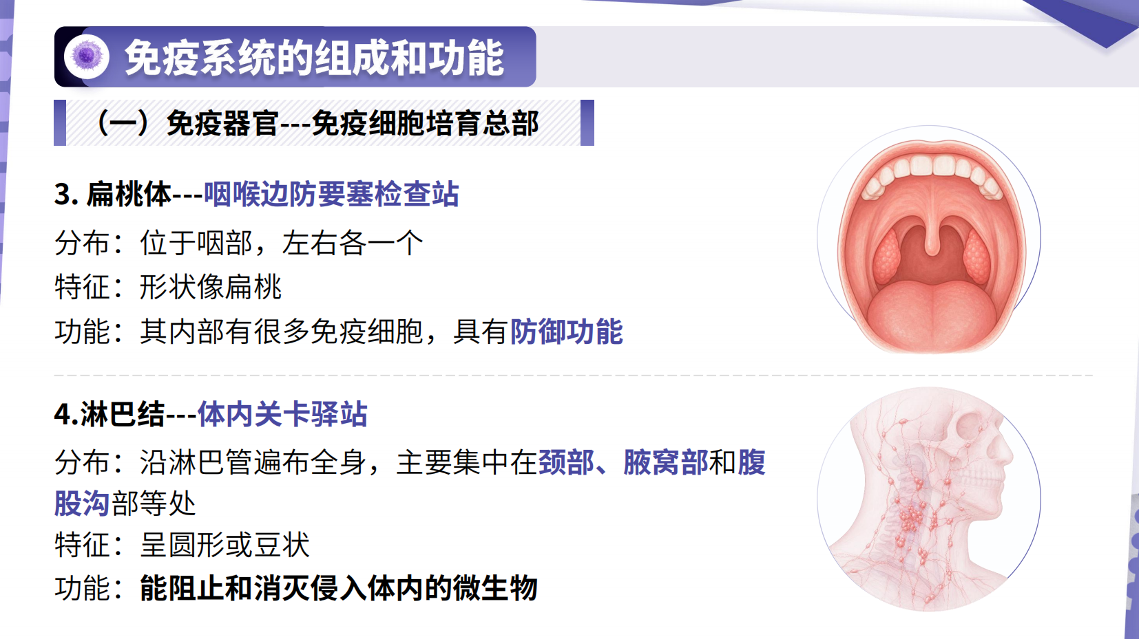 预览图 9