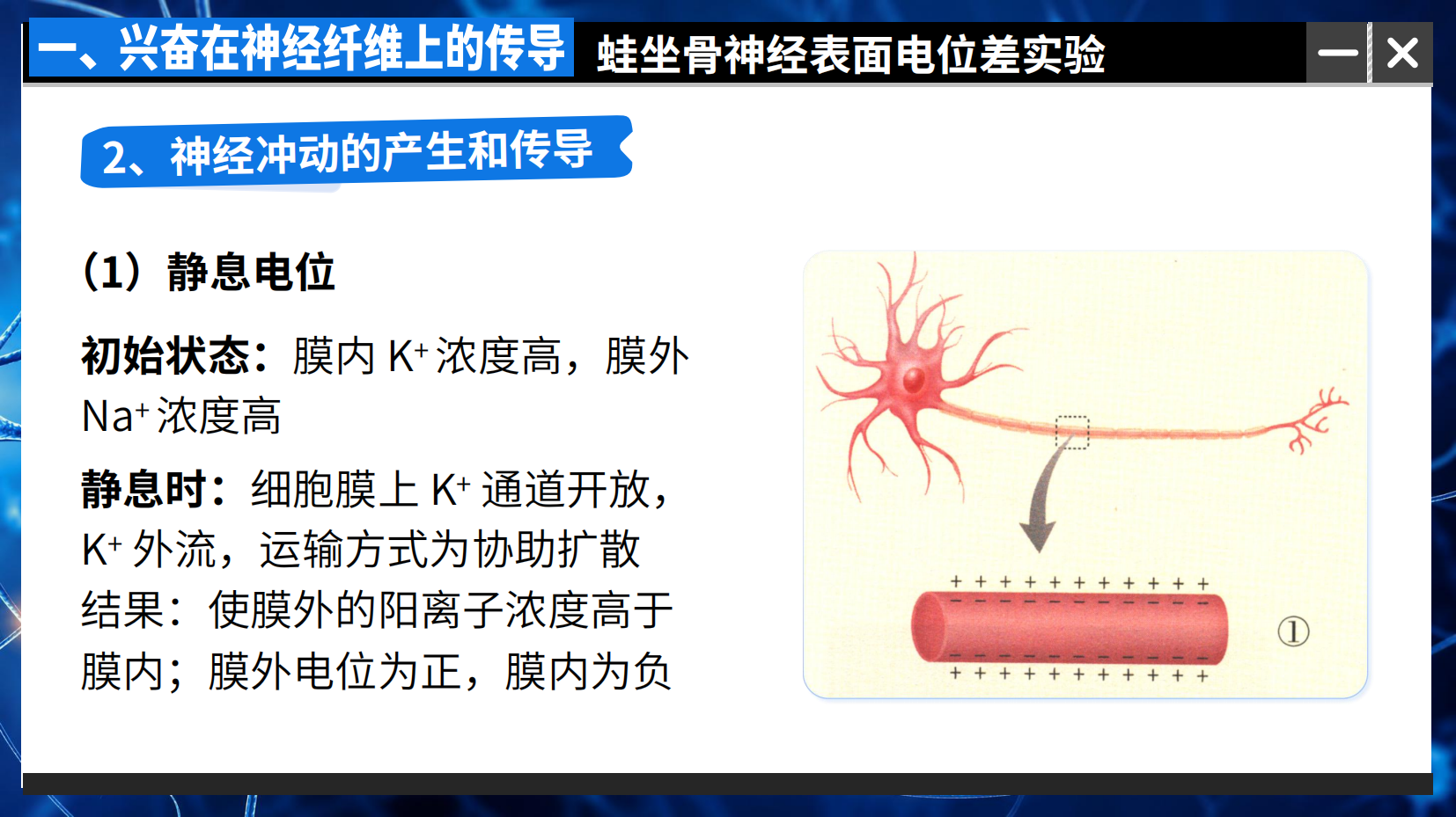 预览图 10