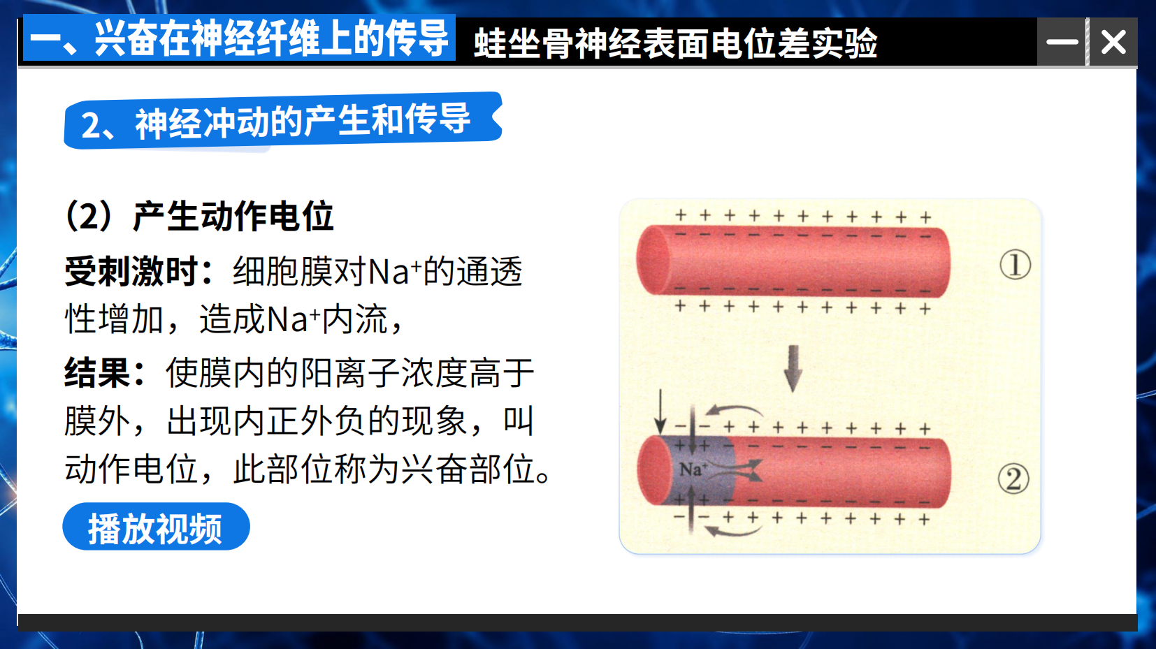预览图 11