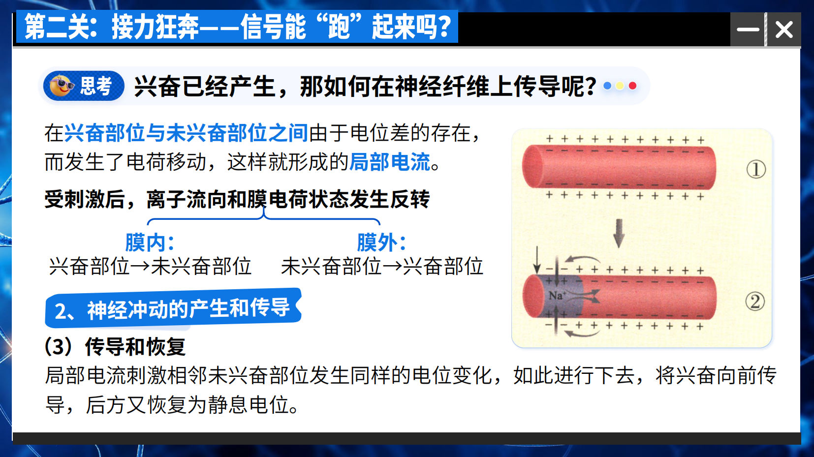 预览图 13