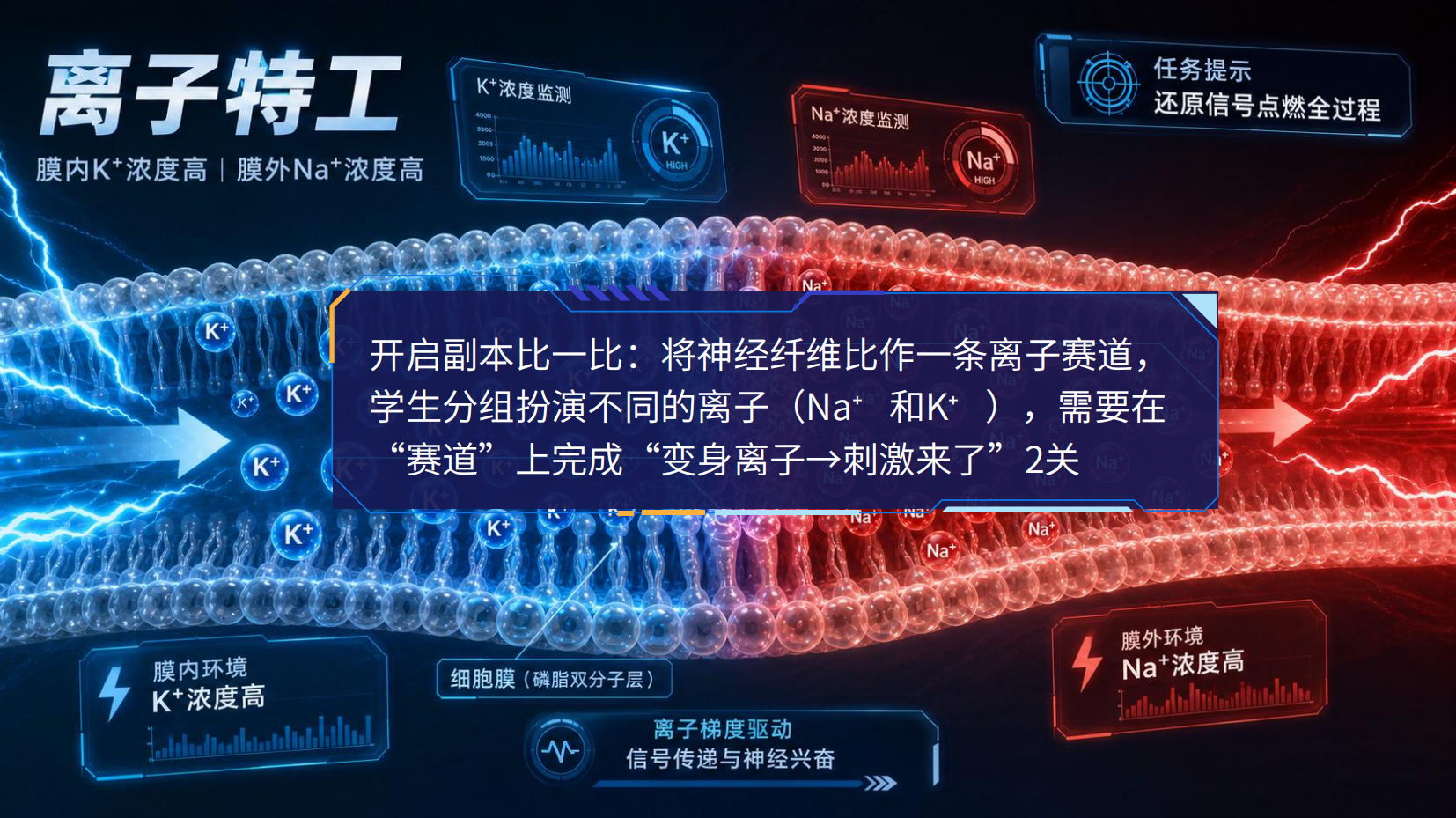 预览图 14