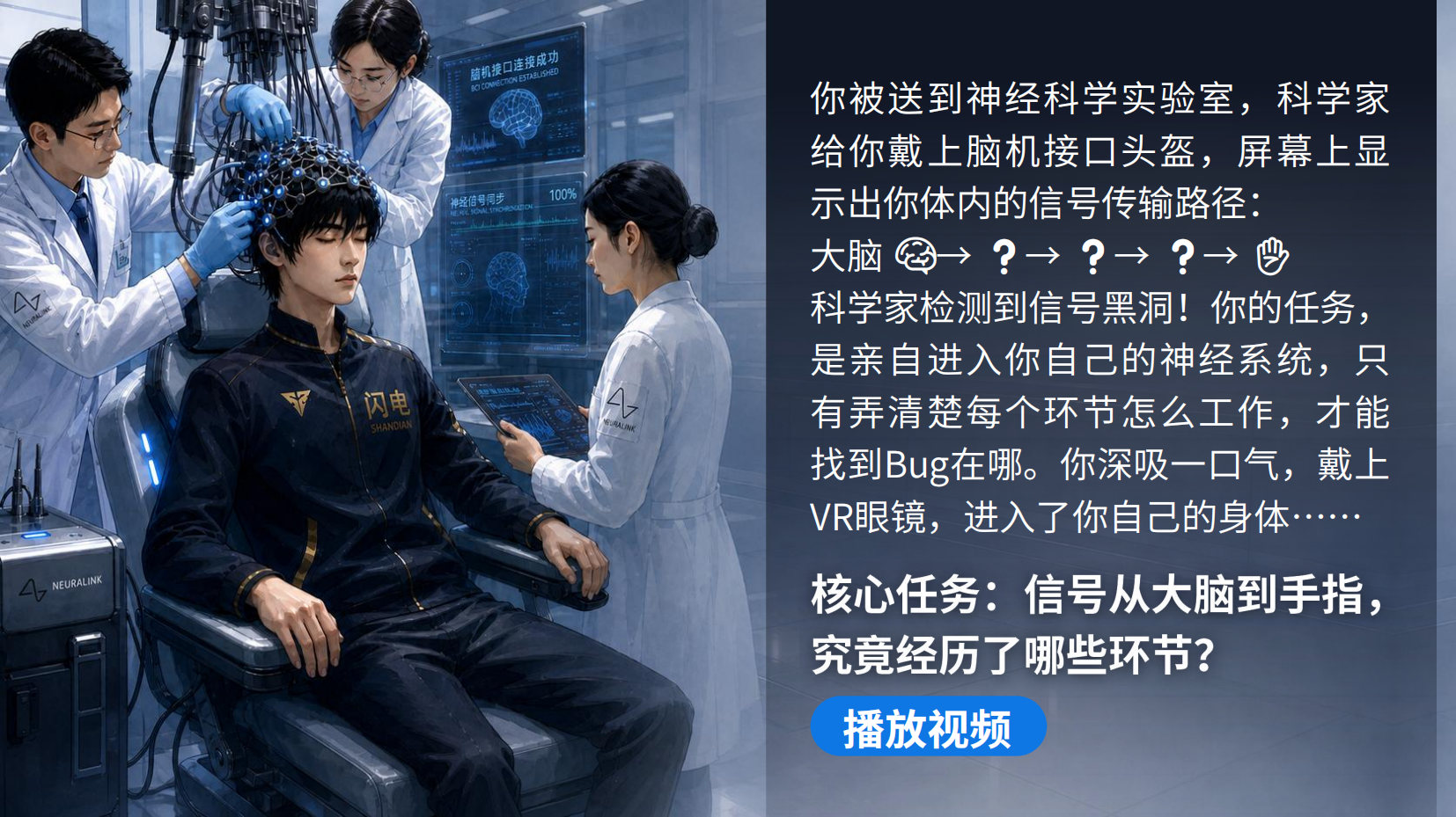 预览图 4