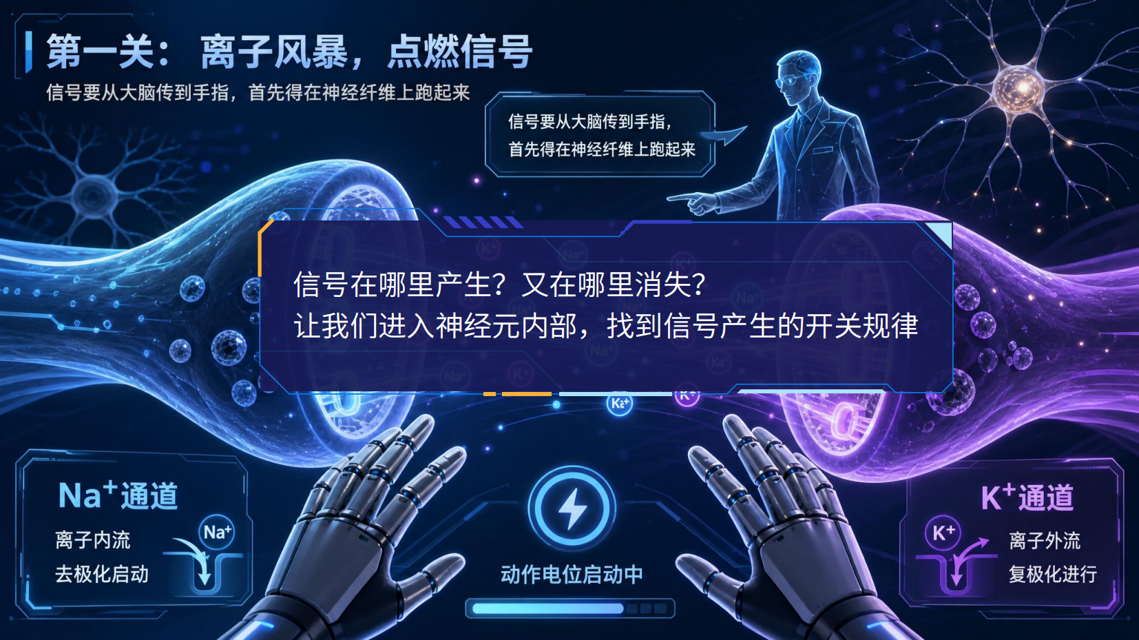 预览图 5
