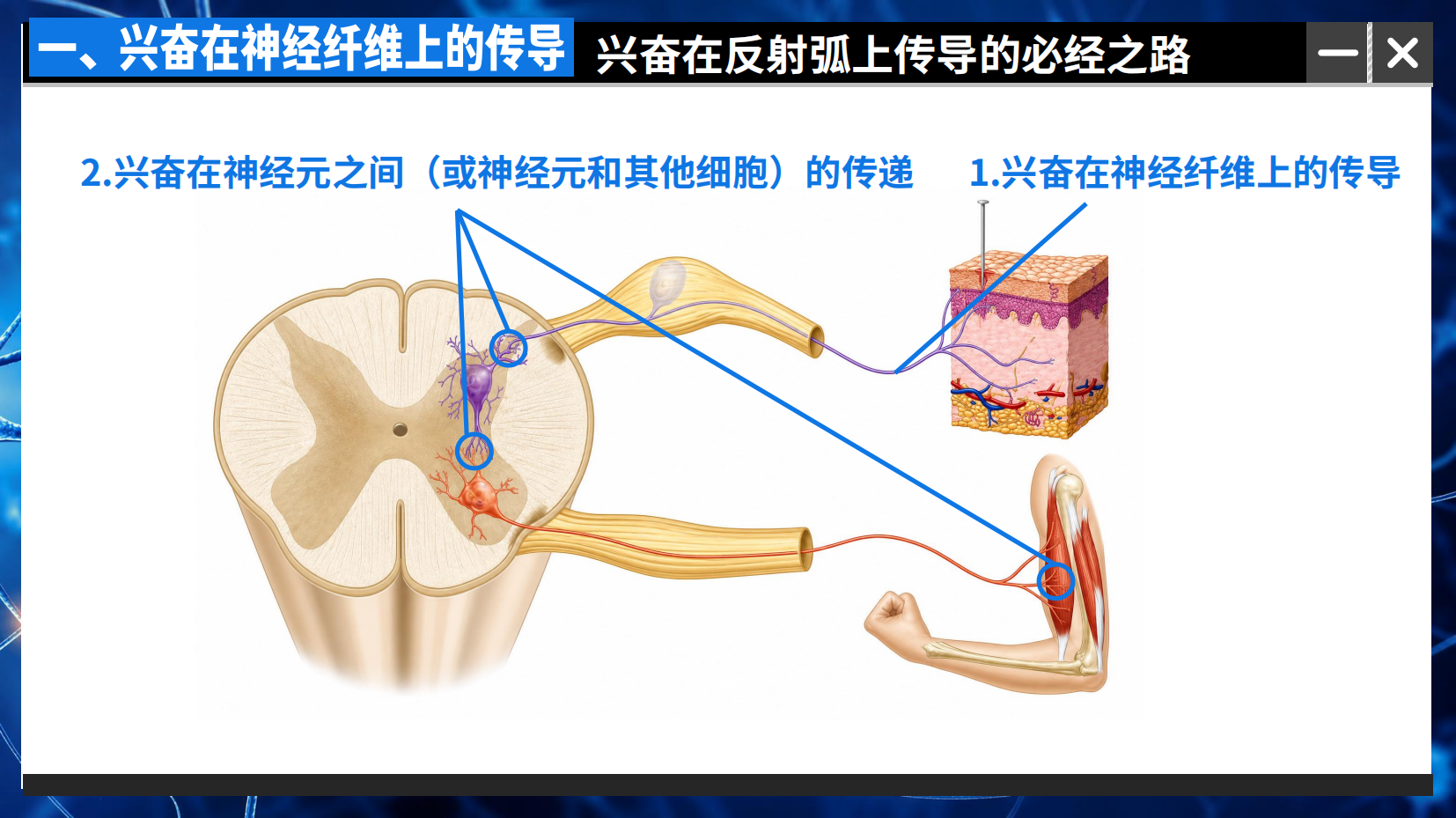 预览图 6