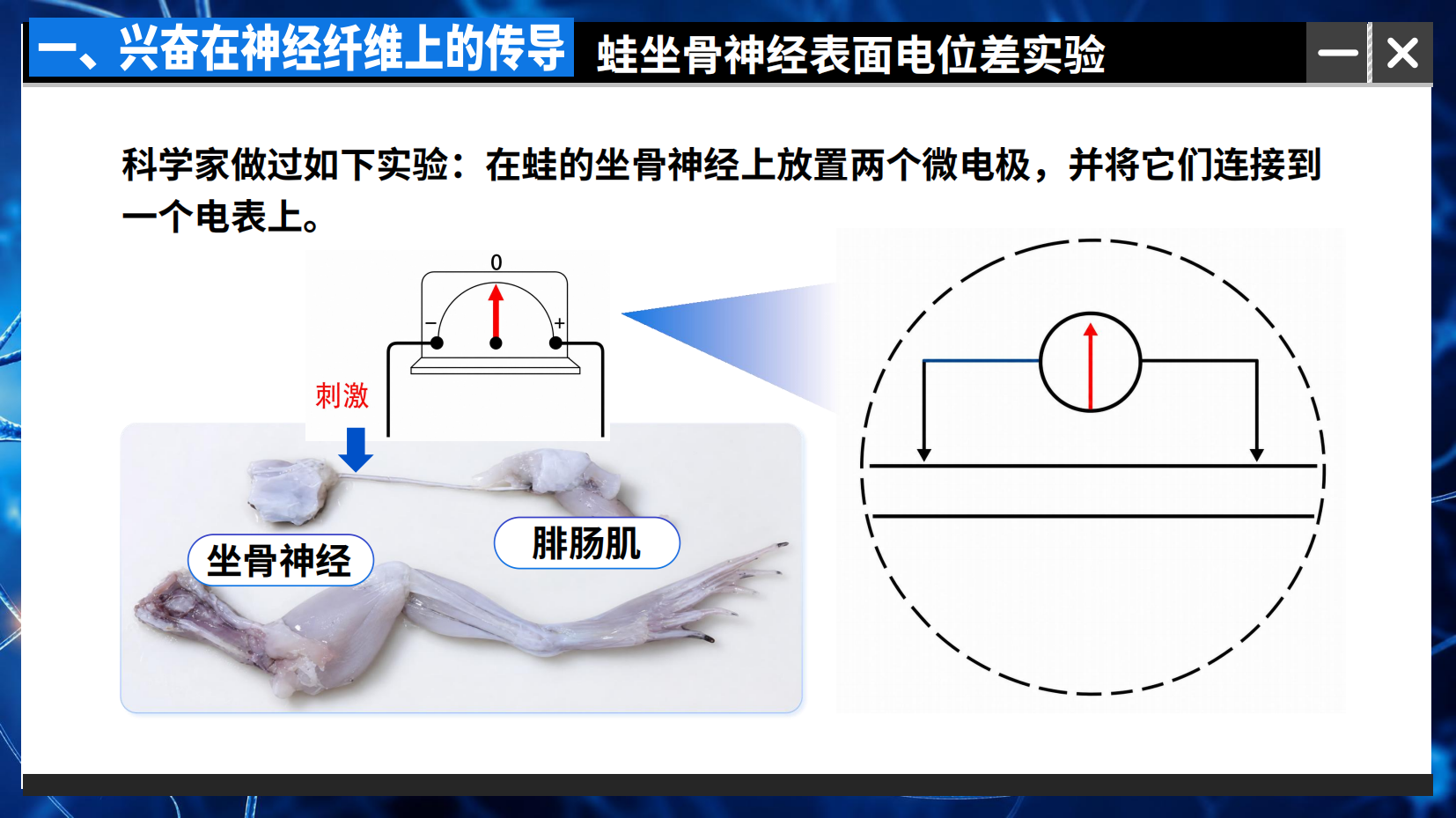 预览图 7