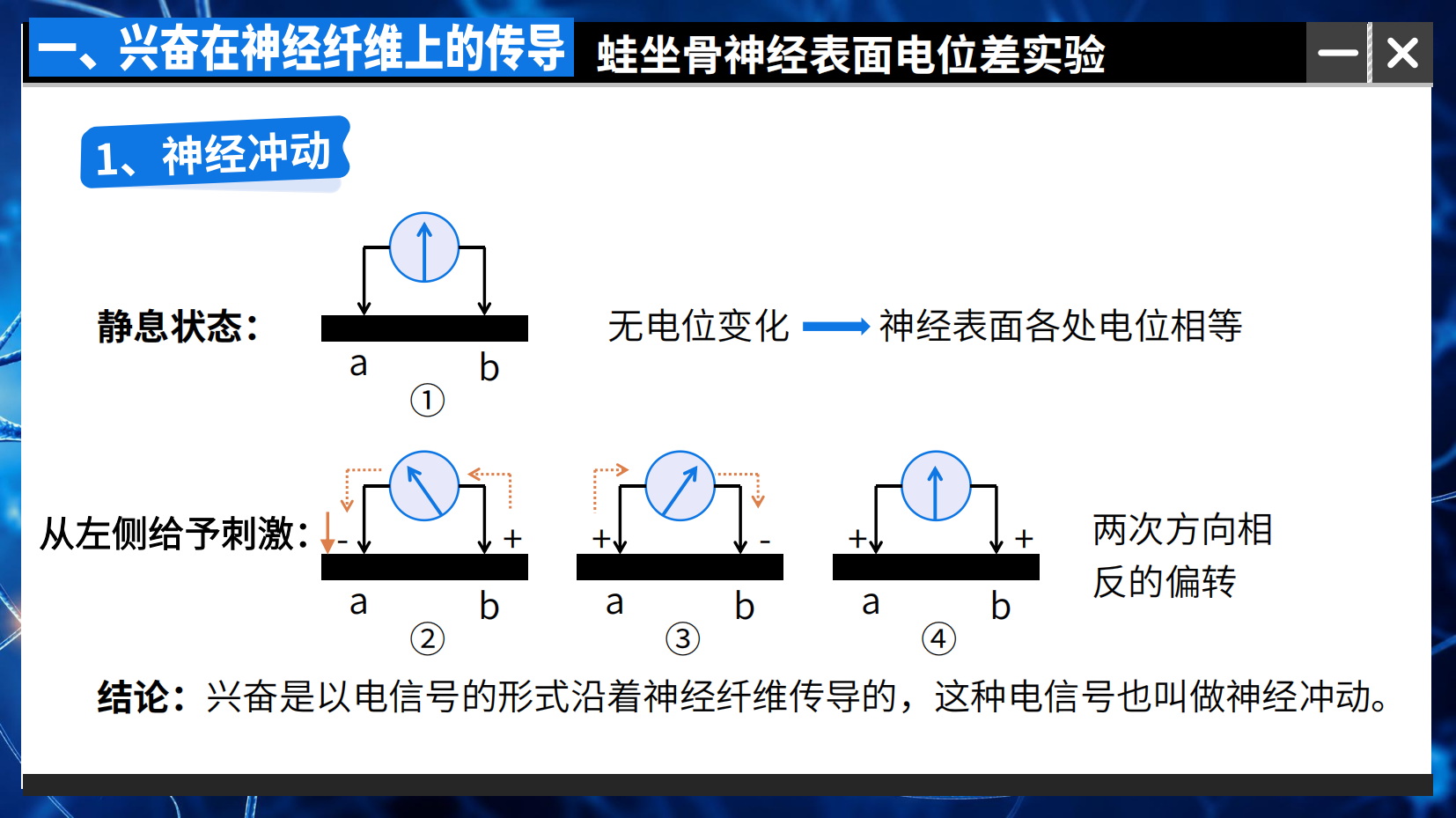 预览图 8