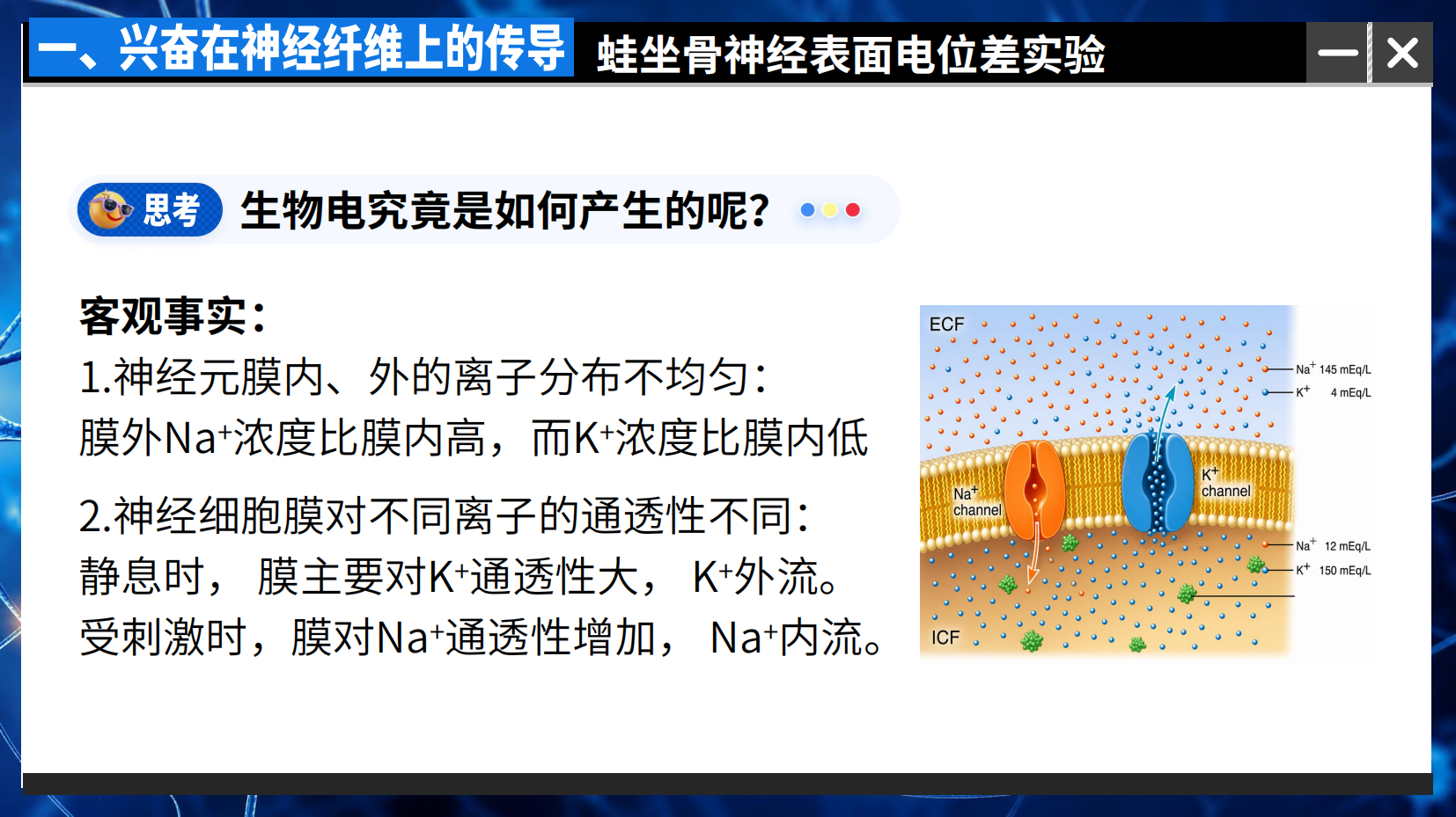 预览图 9