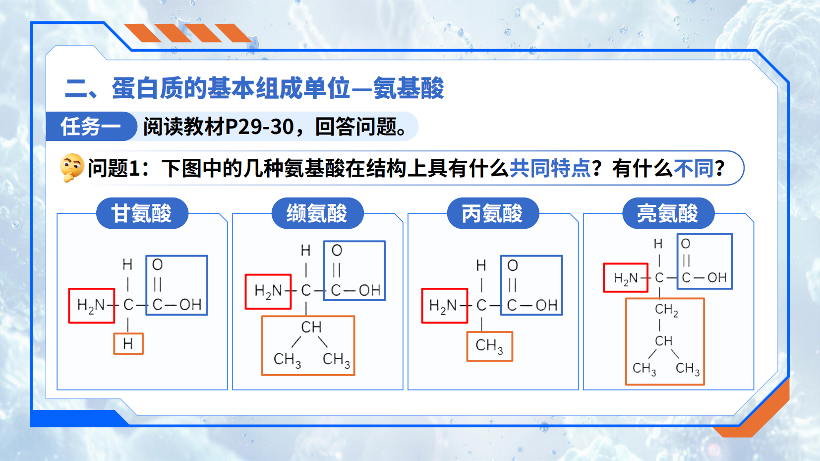预览图 11