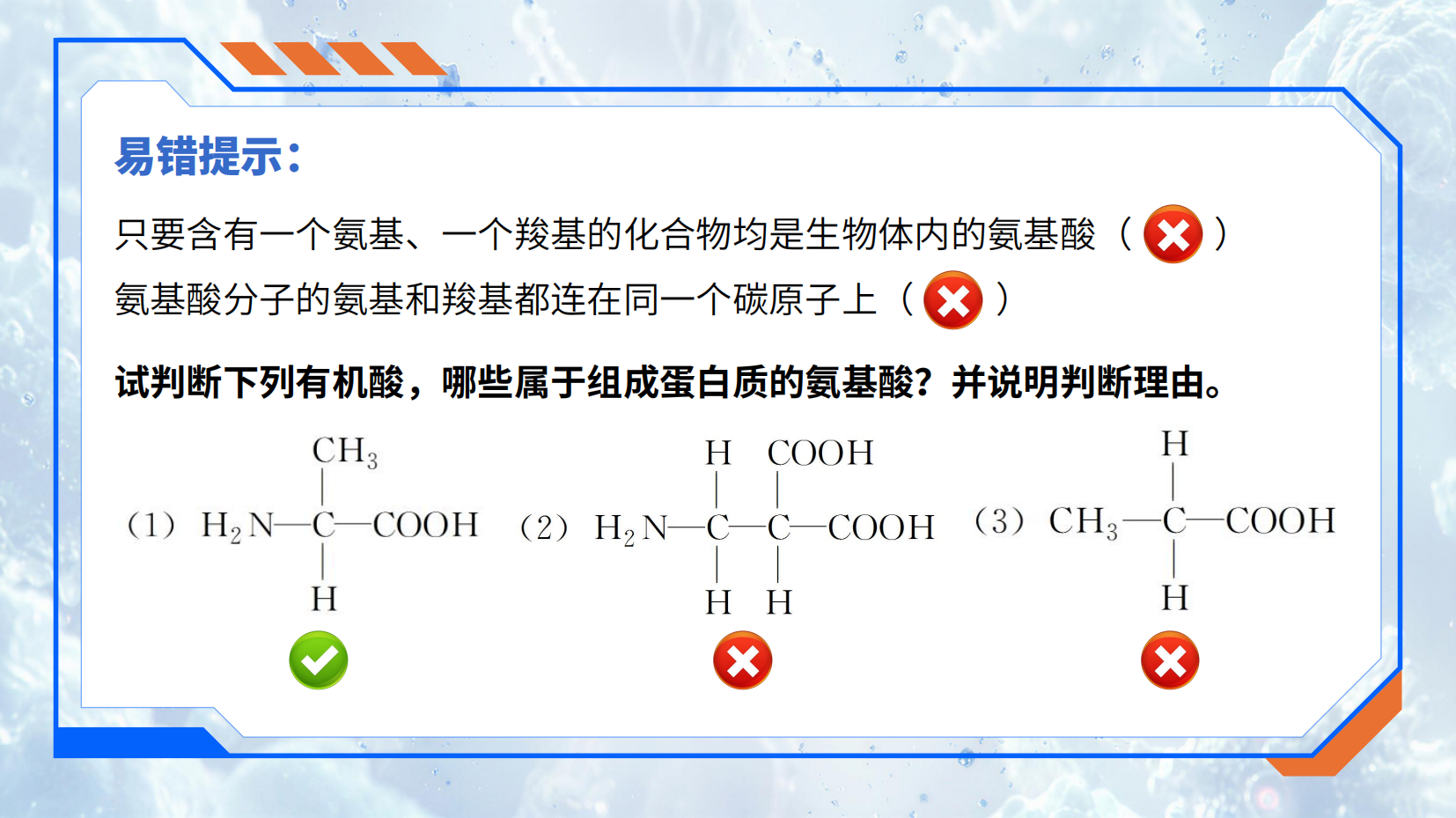 预览图 15
