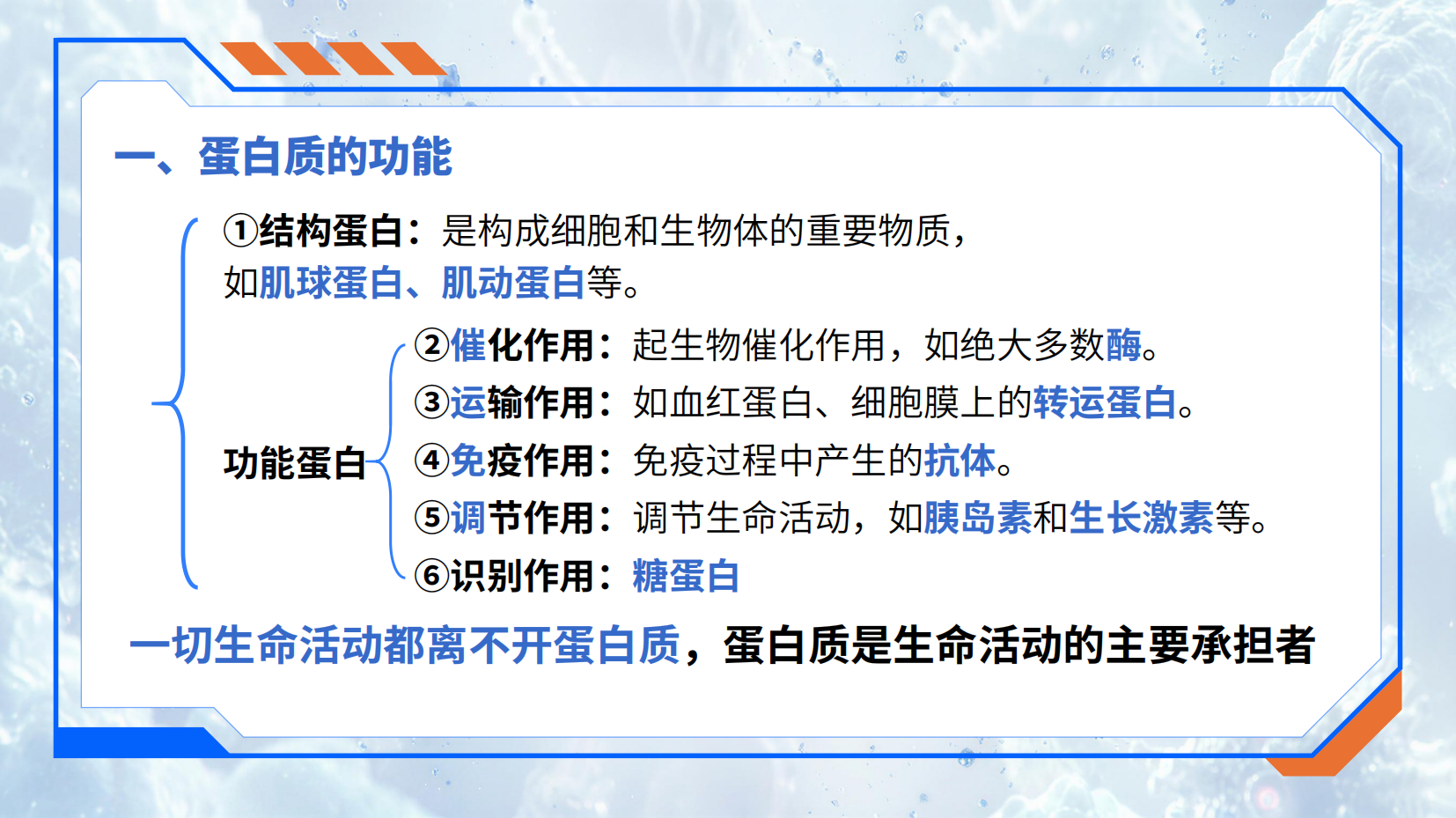 预览图 7