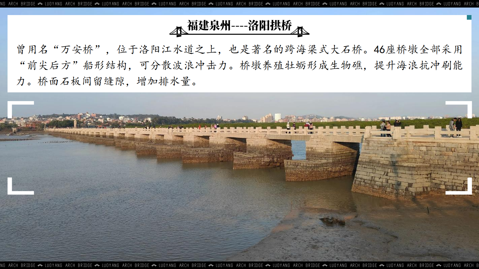预览图 7