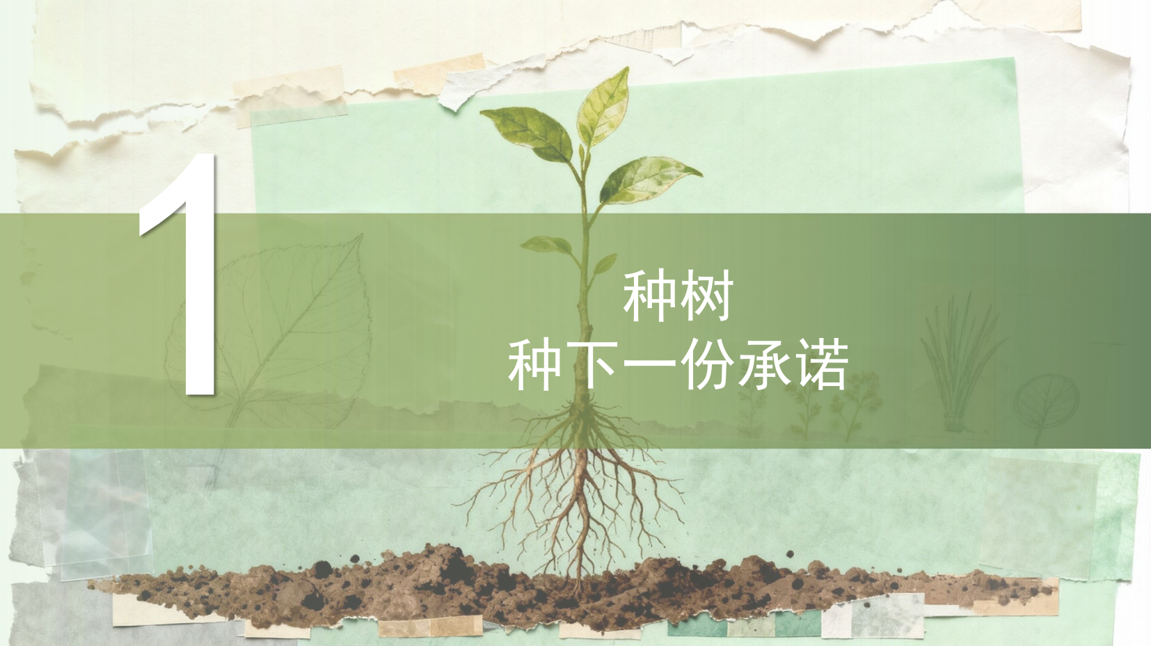 预览图 5