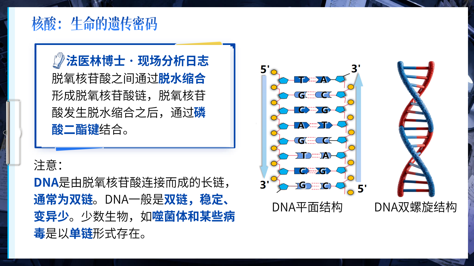 预览图 11