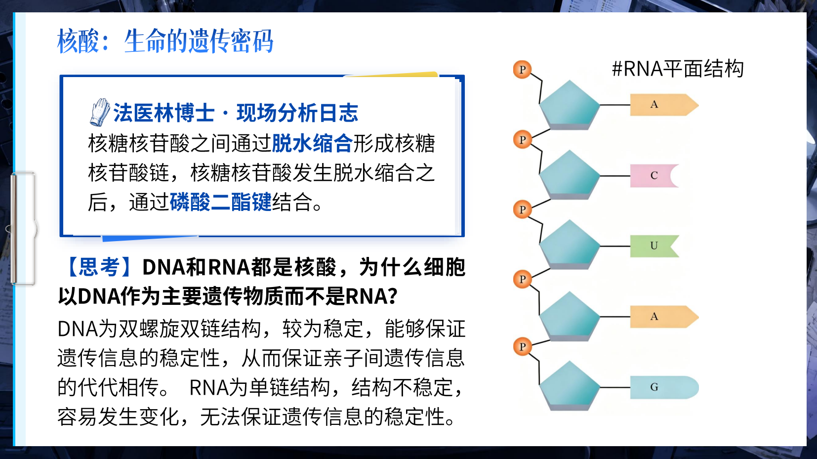 预览图 12