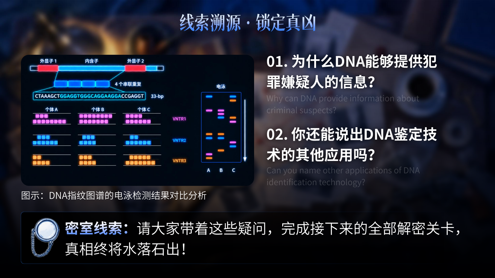 预览图 4