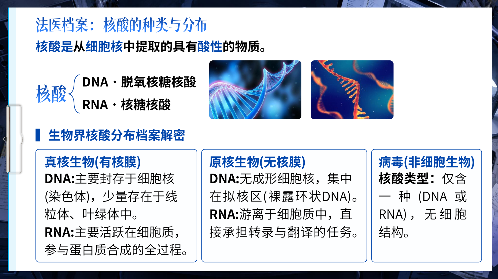 预览图 6