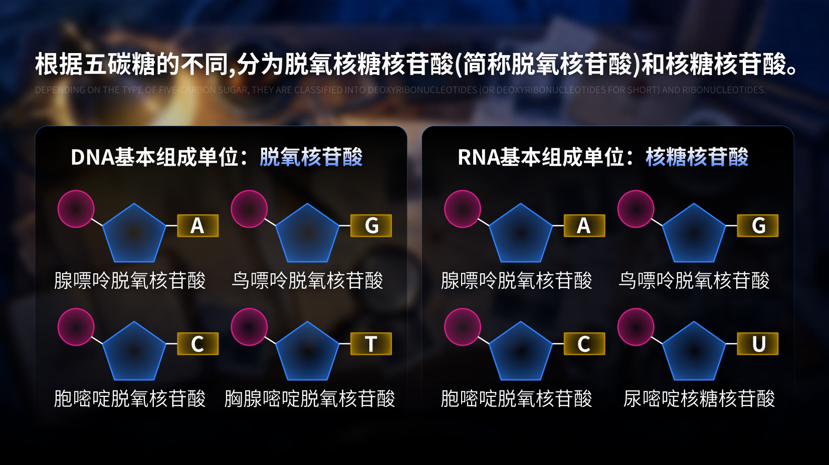 预览图 9