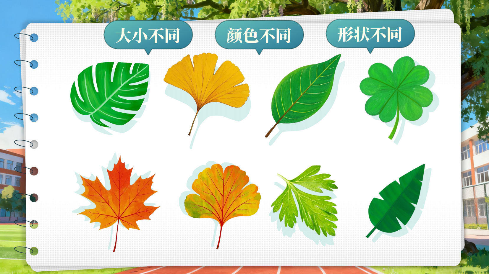 预览图 5