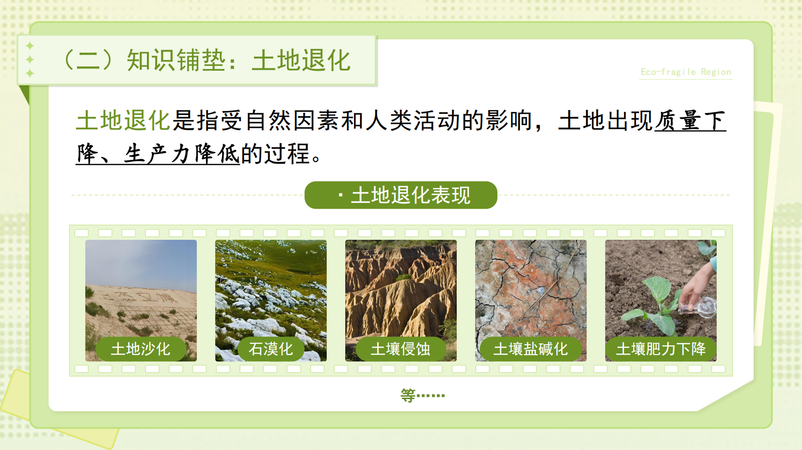 预览图 10