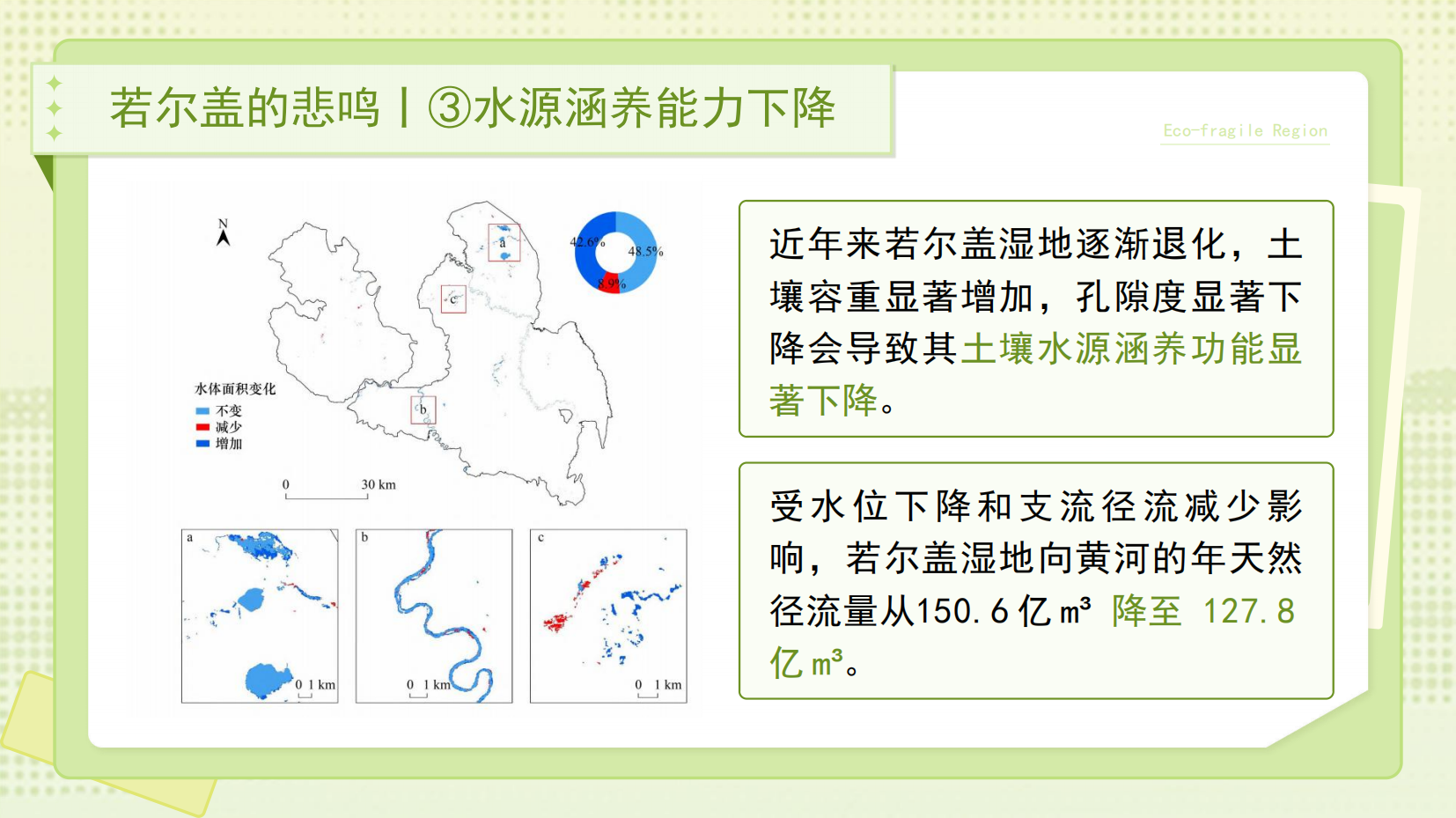 预览图 15