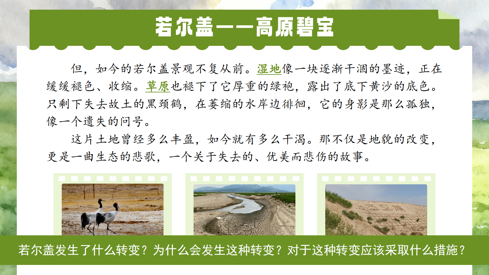 预览图 4