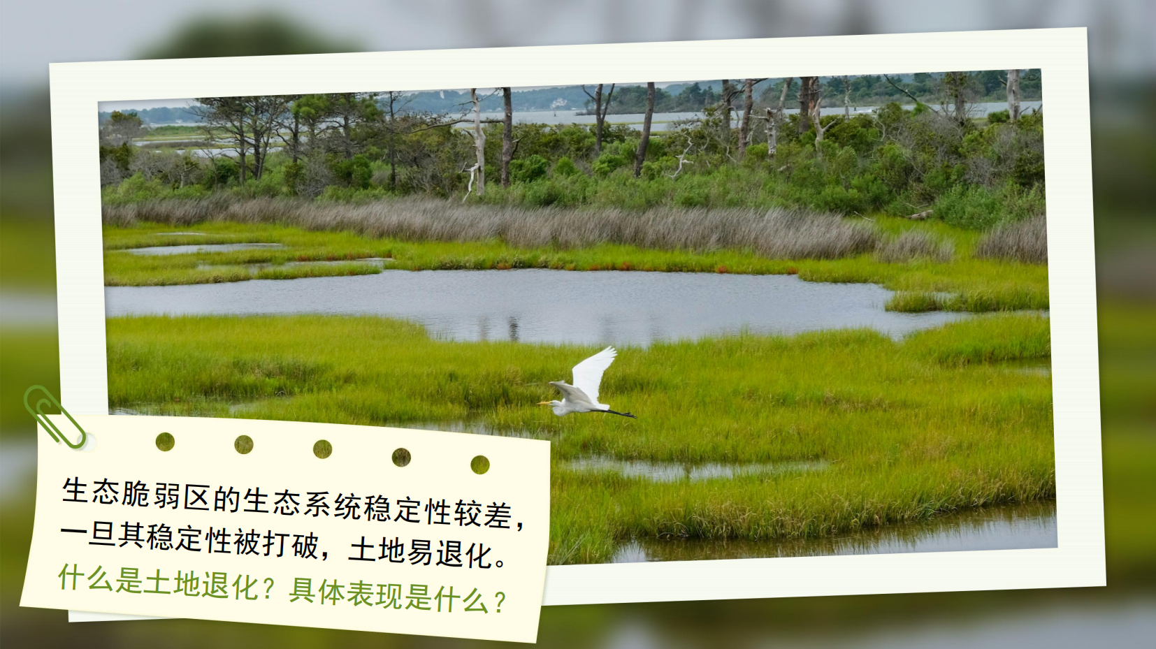 预览图 9