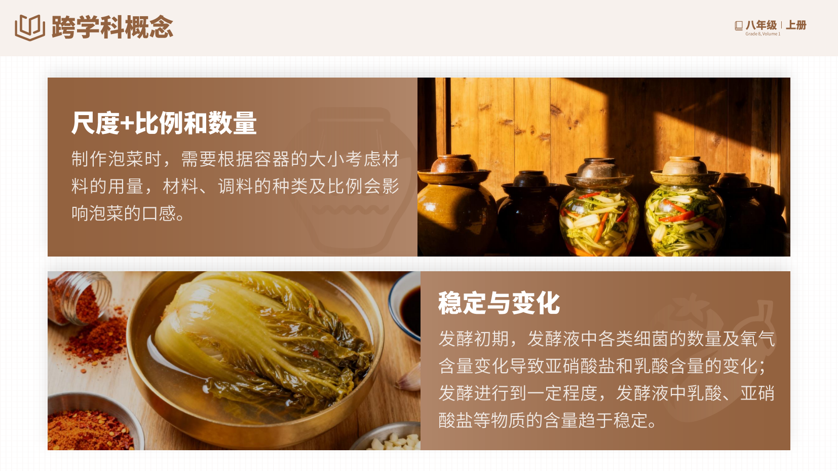 预览图 4