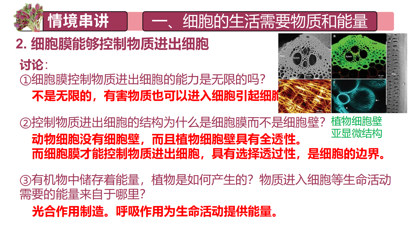 预览图 11