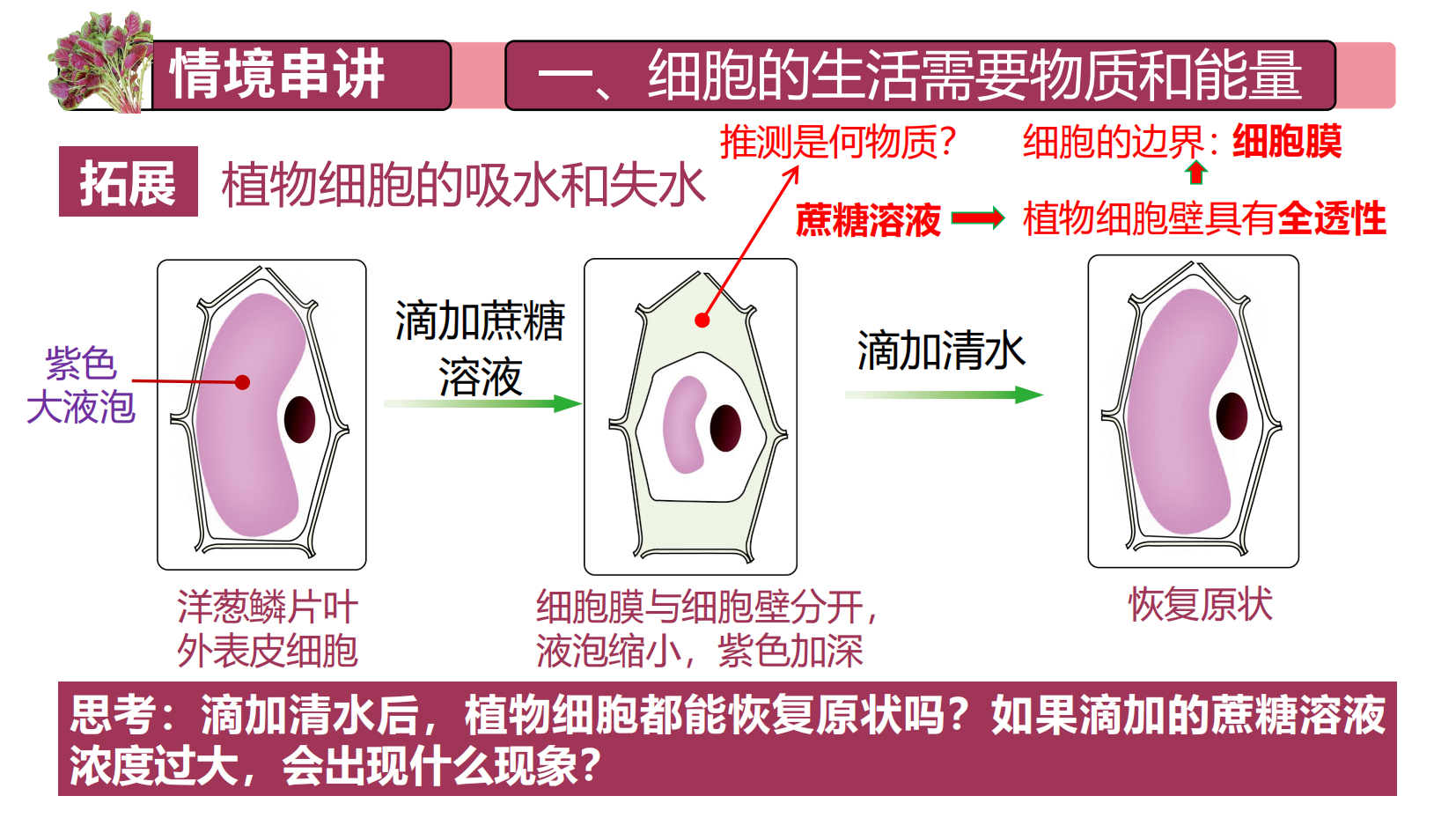 预览图 12