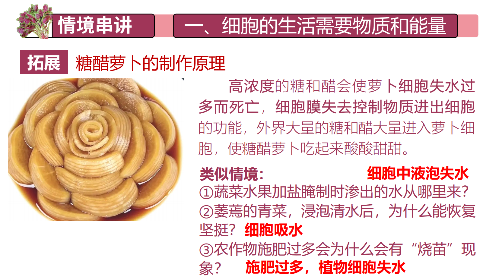 预览图 13