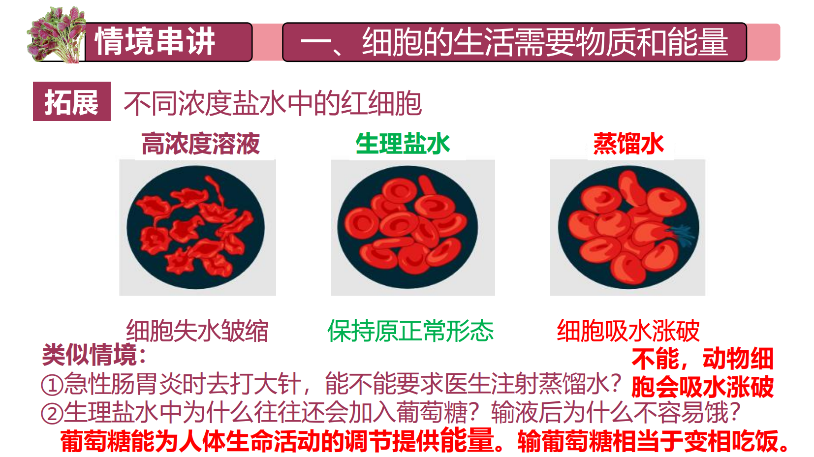 预览图 14