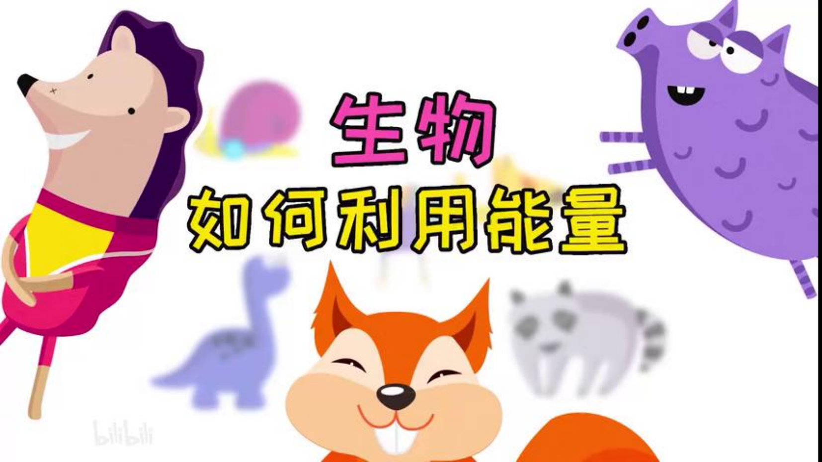 预览图 15