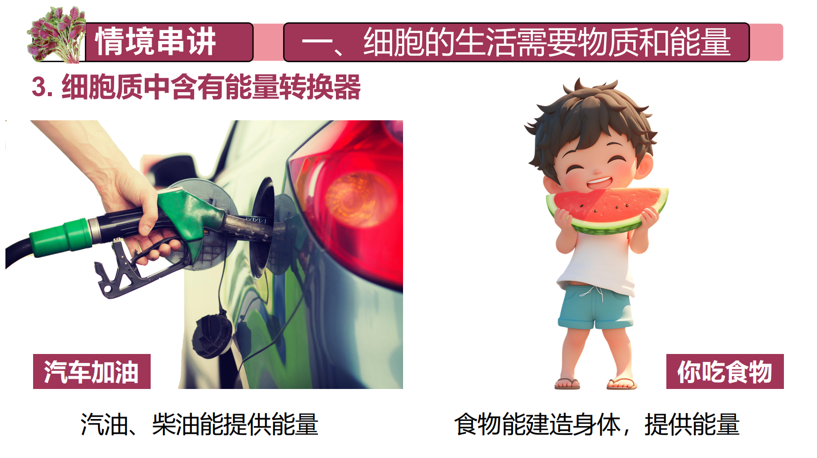 预览图 16