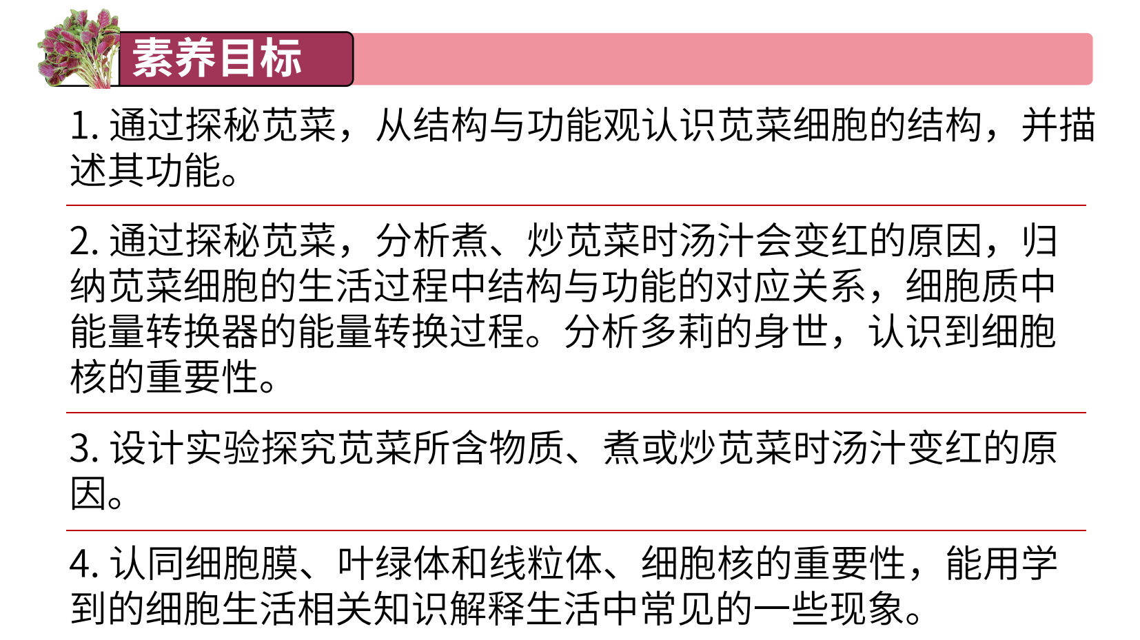 预览图 2