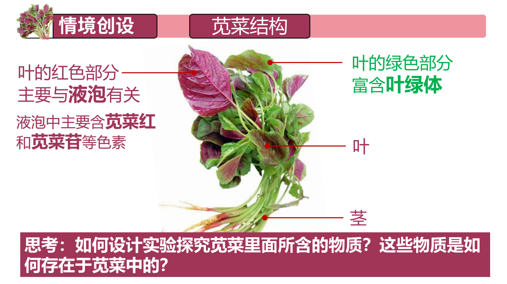 预览图 5
