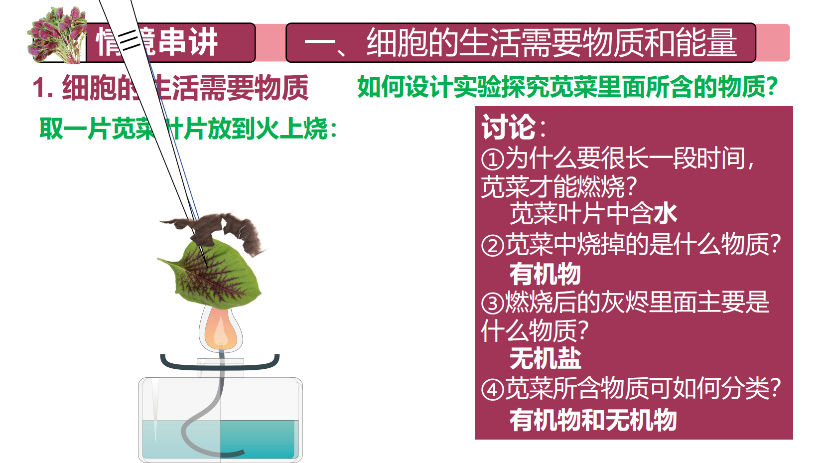 预览图 6