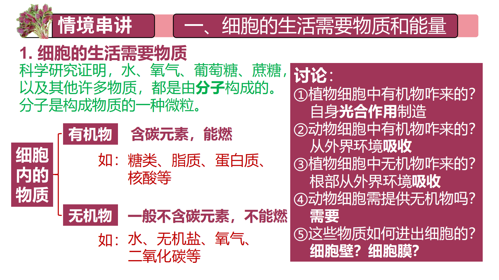 预览图 7